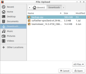 Download folder contains backup file